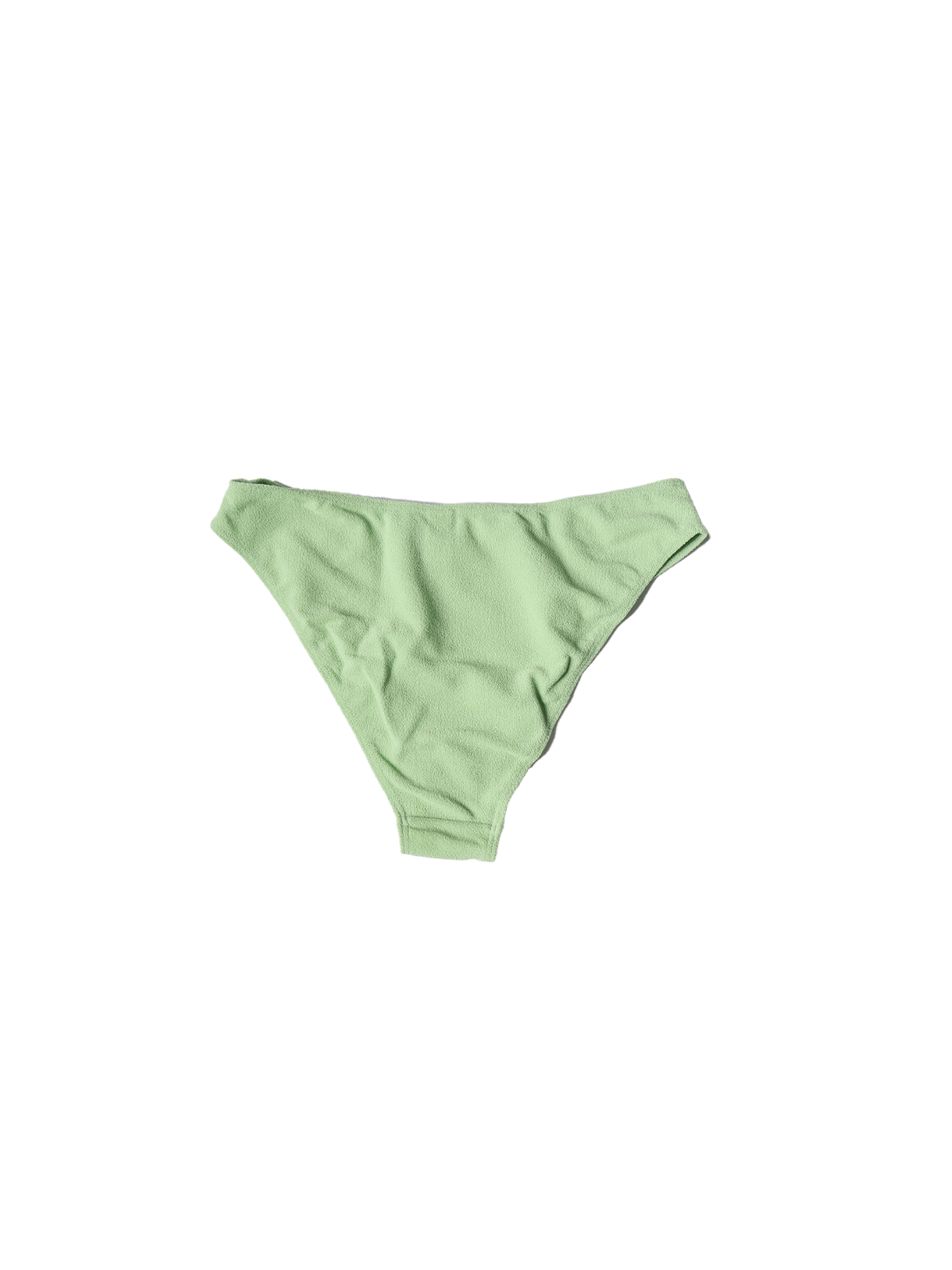 FF_asper bottom_talea_back